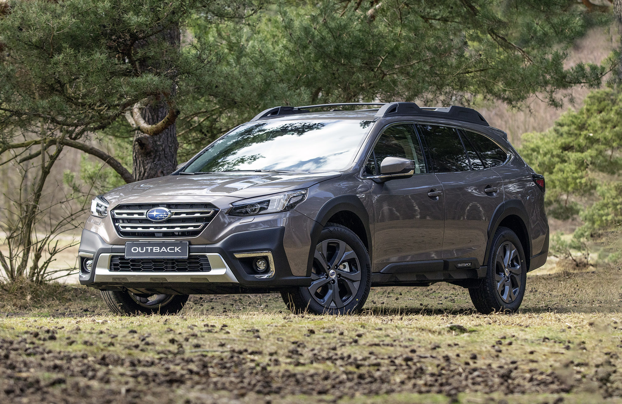 Купити авто Subaru в Черкасах в автосалоні НЬЮТОН АВТОміСТО