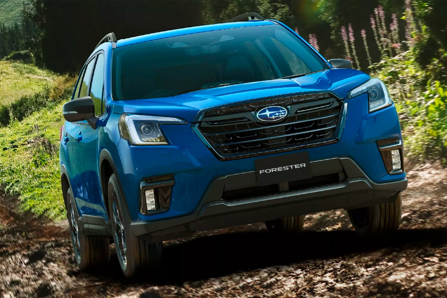 Шоу-рум нових кросоверів Subaru - Черкаси - НЬЮТОН АВТОміСТО